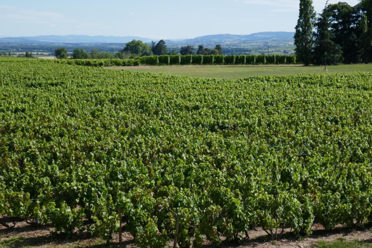 Belleville-en-Beaujolais Le Bel Air De Saint Jean B&B 외부 사진